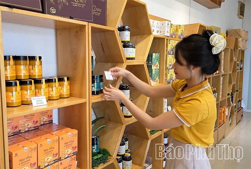 Nông sản Việt vươn tầm quốc tế