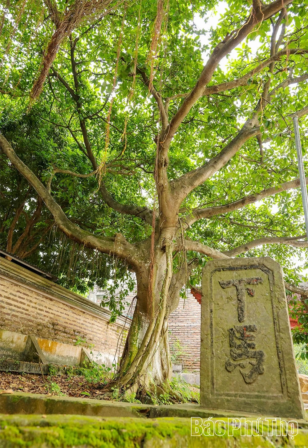 Nơi lưu giữ hào khí Lam Sơn