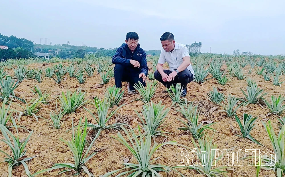 Trạm Thản phát triển nông, lâm nghiệp, thủy sản bền vững