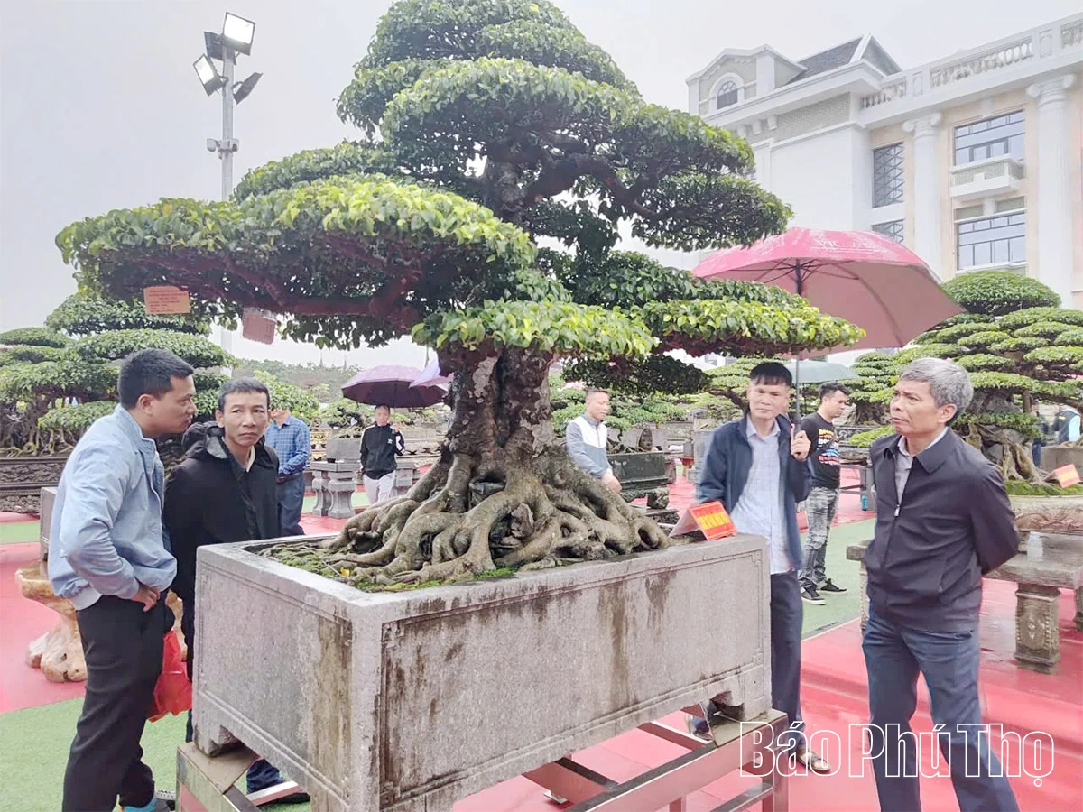 Khai mạc Festival sinh vật cảnh Đất Tổ Phú Thọ - năm 2025