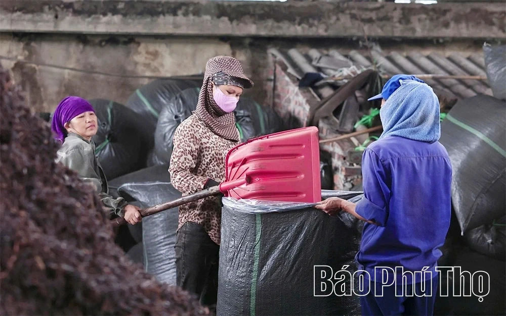 Minh Dai Tea Reaches the Level of an “International-Grade Ingredient”