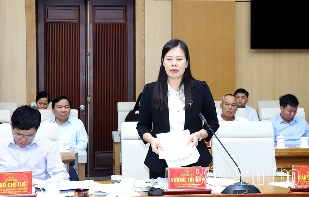 UBND tỉnh họp chuyên đề lĩnh vực tài chính - ngân sách