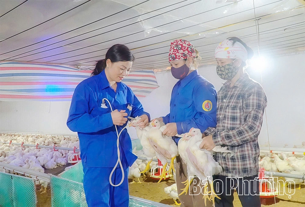 Lan tỏa những tấm gương Nông dân tiêu biểu