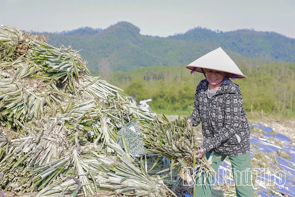 Đất cằn mùa quả ngọt