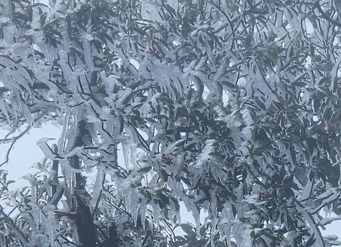 Đỉnh núi cao ở Lào Cai, Lai Châu xuất hiện băng giá