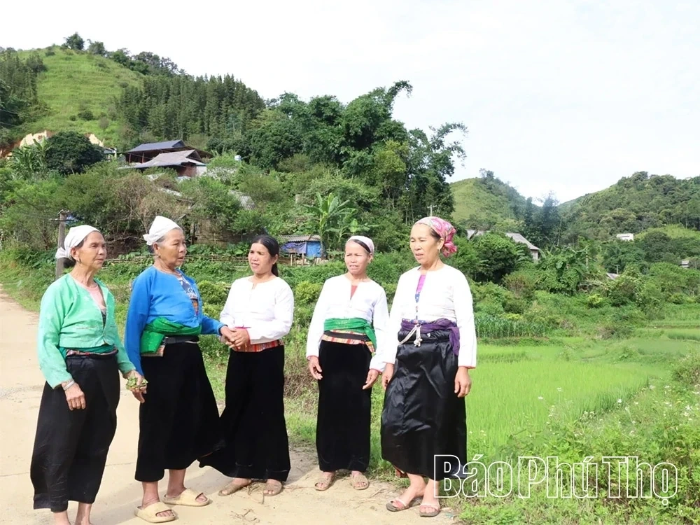 Exploring Tourism on the “Roof of the Muong Region”