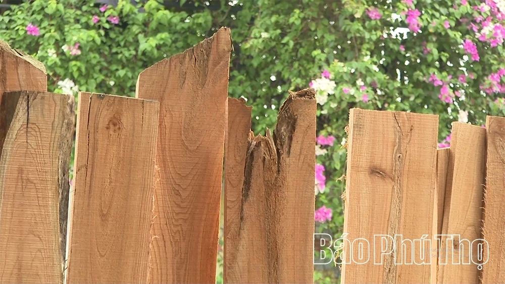 Van Ha Carpentry – where skilled hands preserve the soul of the village