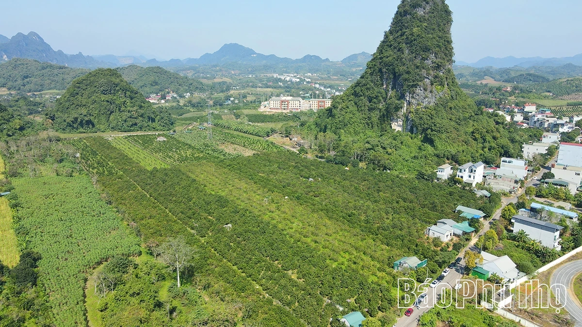 Trải nghiệm giữa sắc cam Cao Phong rực rỡ