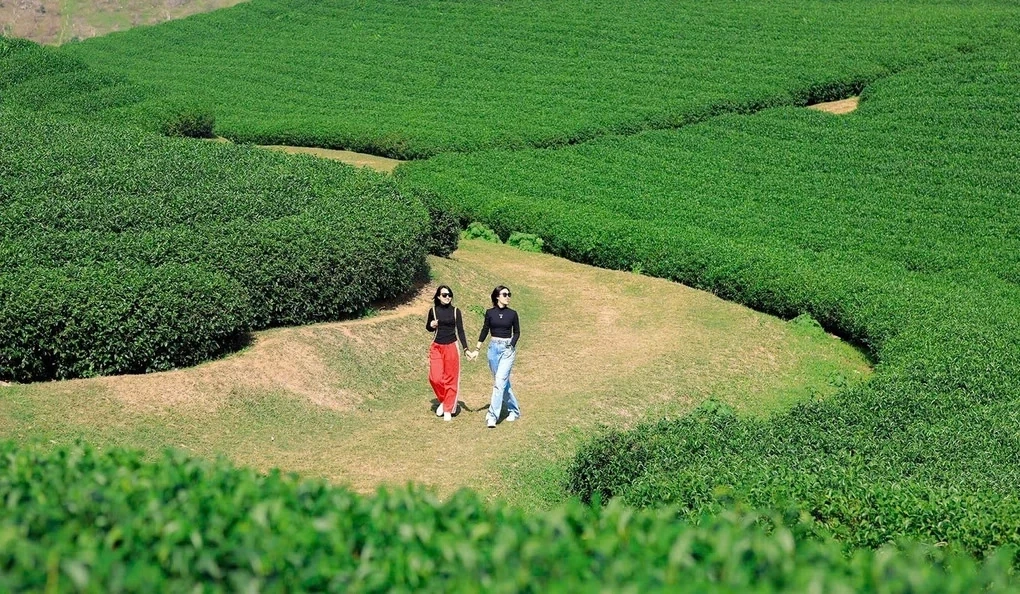 Nông nghiệp xanh ở Sơn La tạo nên thương hiệu du lịch nông thôn Tây Bắc