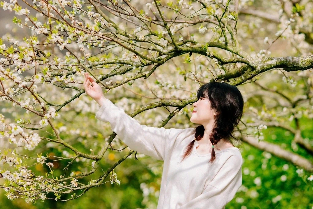 Nông nghiệp xanh ở Sơn La tạo nên thương hiệu du lịch nông thôn Tây Bắc