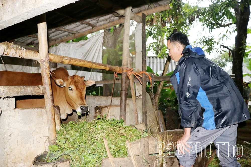 Xã Toàn Thắng tạo chuyển biến toàn diện trong công tác dân tộc