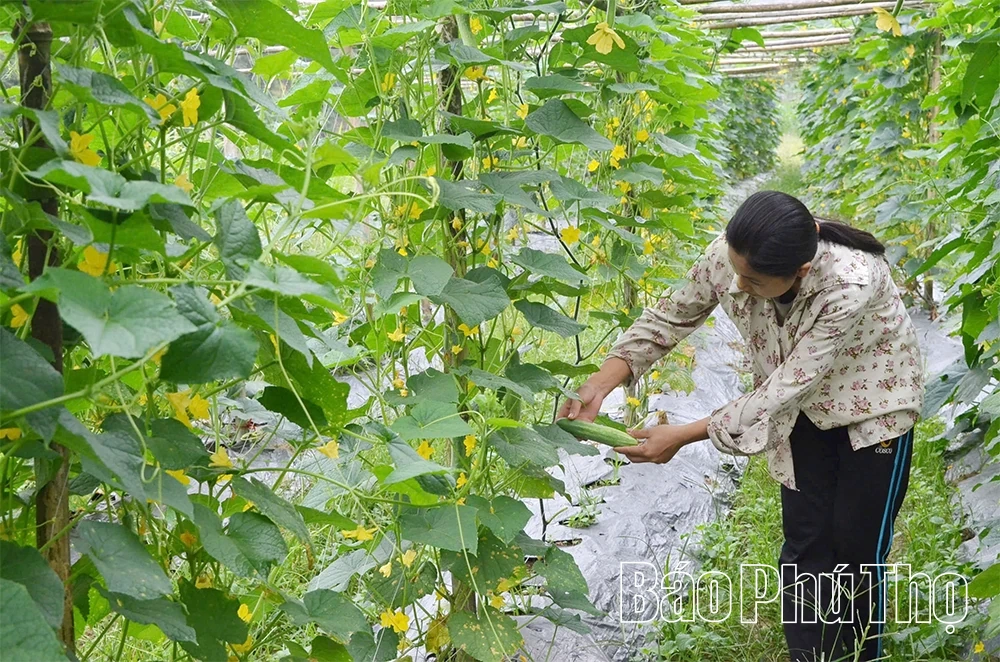 Xã Toàn Thắng tạo chuyển biến toàn diện trong công tác dân tộc