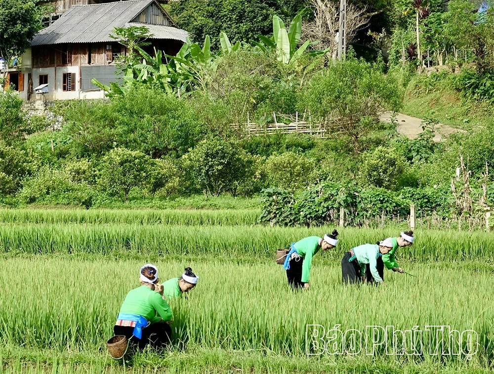 Khám phá du lịch trên “Nóc nhà xứ Mường”