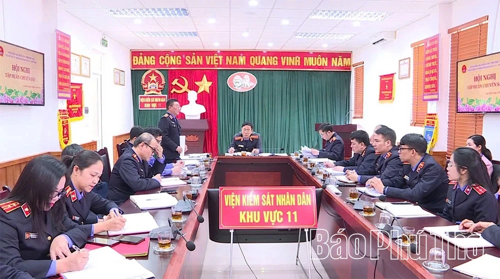 Tập huấn chuyên sâu, nâng cao chất lượng công tác kiểm sát