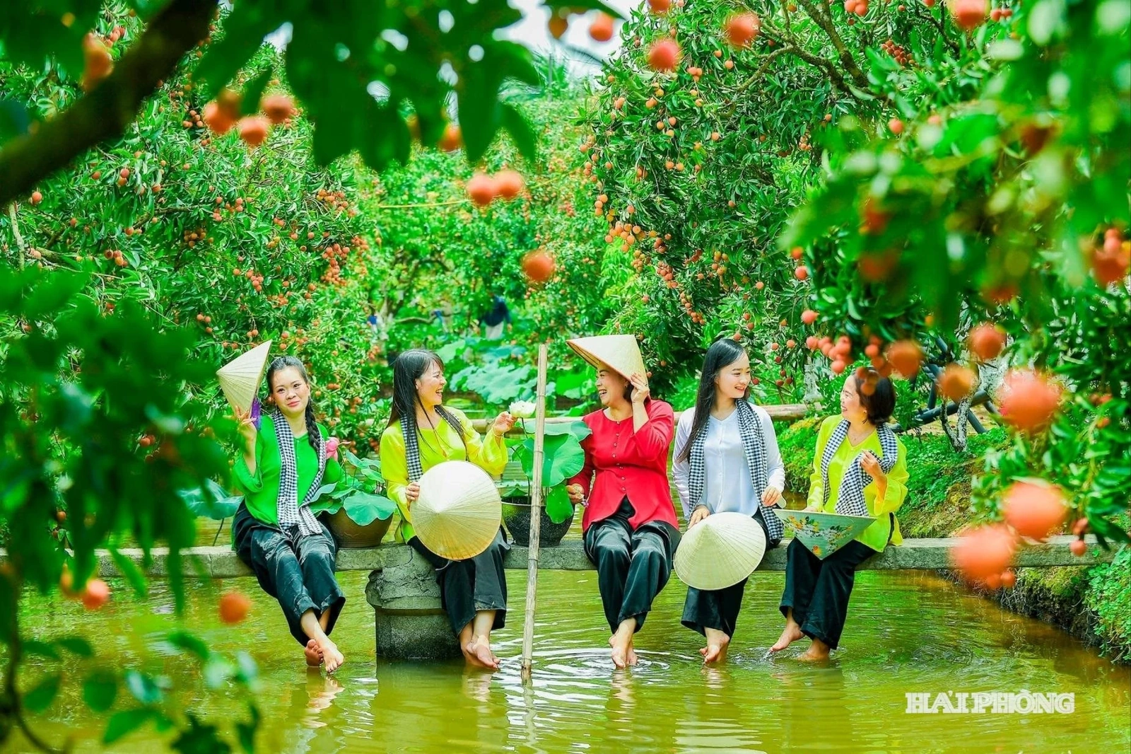 Hải Phòng phát huy lợi thế từ du lịch nông thôn