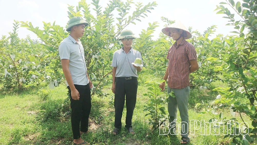 Tu Vũ lan tỏa phong trào thi đua phát triển kinh tế