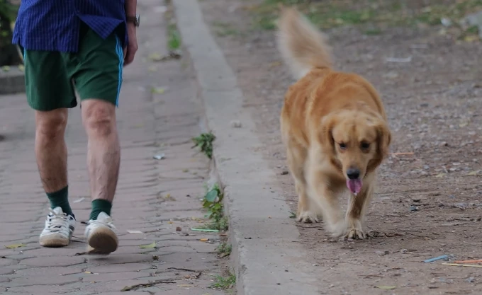 Chính sách nổi bật có hiệu lực từ tháng 12