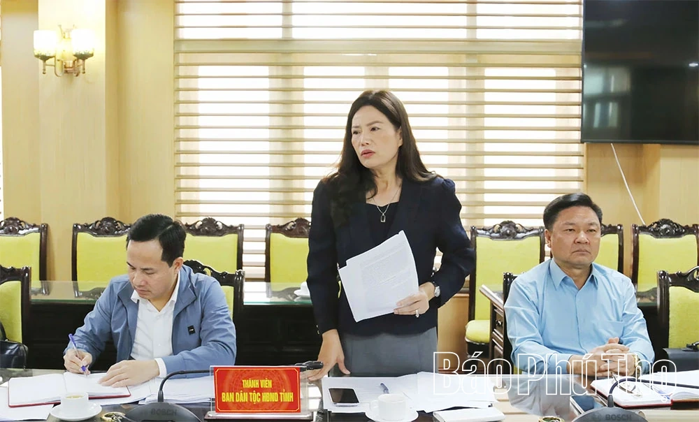 Ban Dân tộc, HĐND tỉnh thẩm tra báo cáo