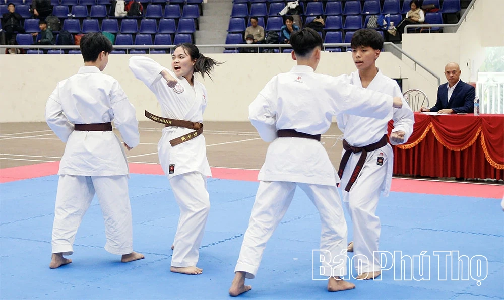 175 võ sinh, HLV đạt chuẩn tại Kỳ thi thăng đẳng cấp Quốc gia môn Karate năm 2025