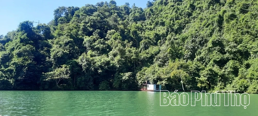 Giữ rừng mùa khô ở vùng cao Đà Bắc