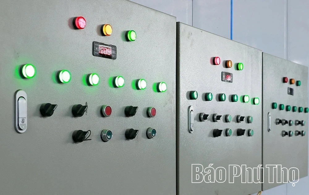 Khám phá mô hình trồng nấm hữu cơ