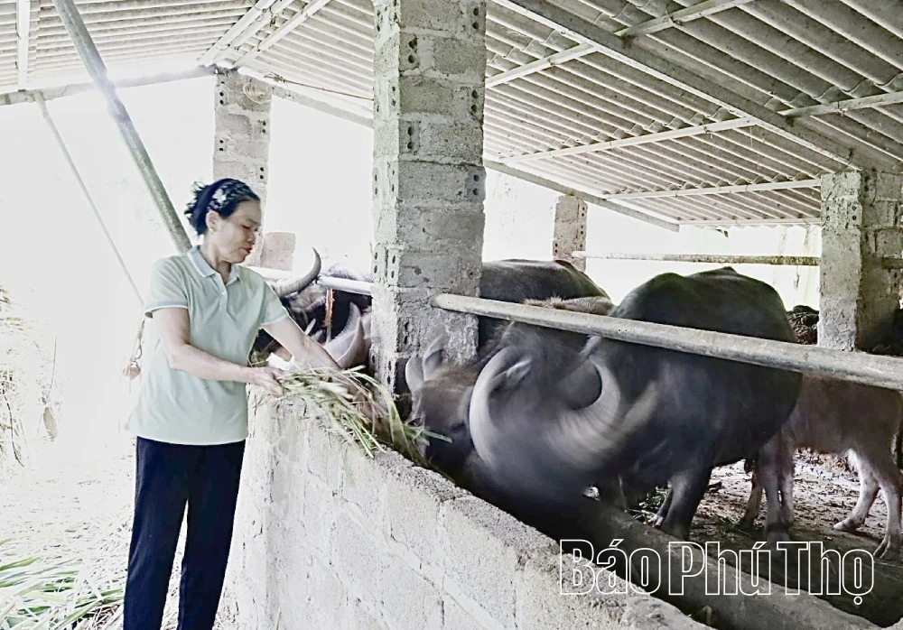 Vốn chính sách thúc đẩy giải quyết việc làm trong nước, ngoài nước