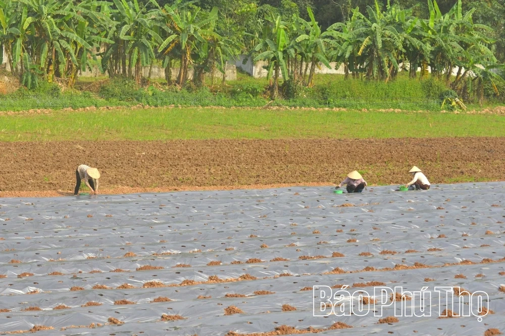 Cơ hội bứt phá cho xã ven đô Thịnh Minh