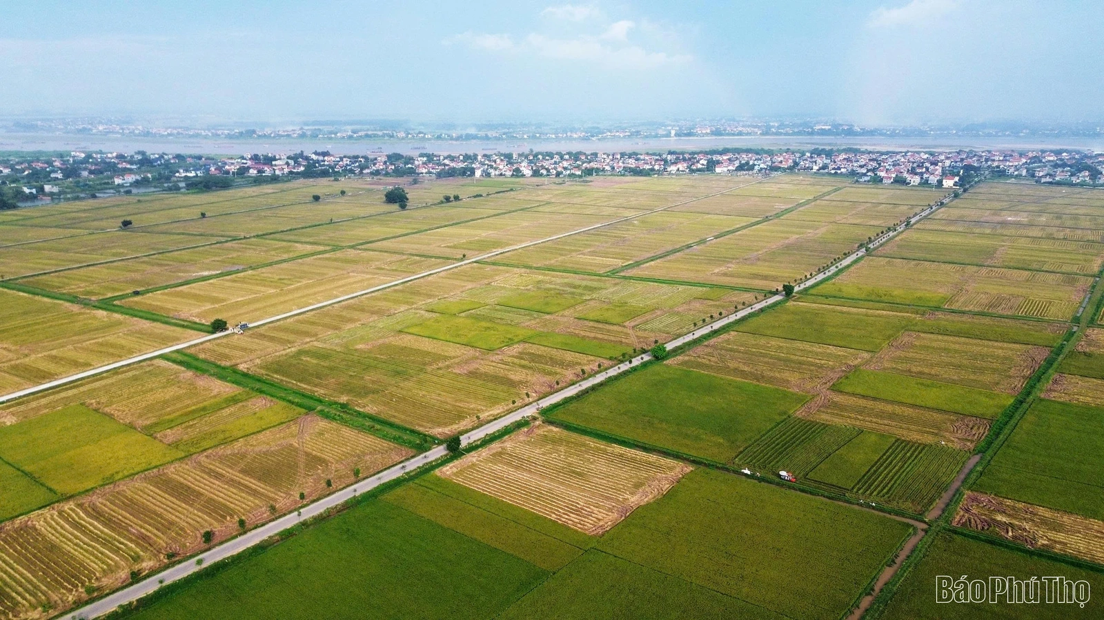 Hướng tới nền nông nghiệp sinh thái, tuần hoàn