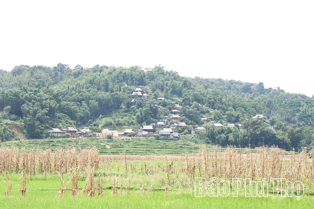 Bài 2 - Khi “lời thiêng” hóa án phạt