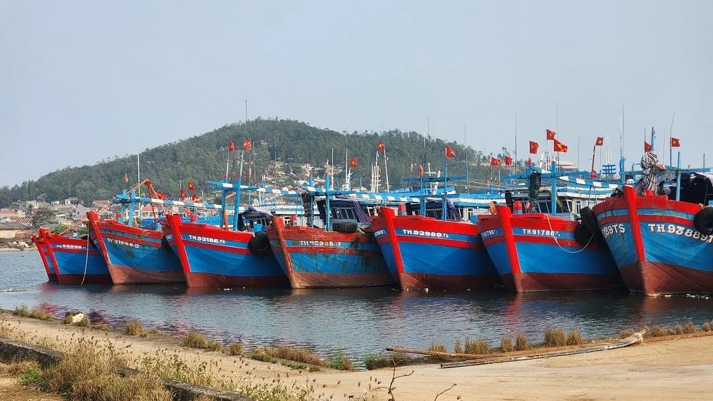 Nông nghiệp Thanh Hóa vượt sóng gió thiên tai, thích ứng linh hoạt