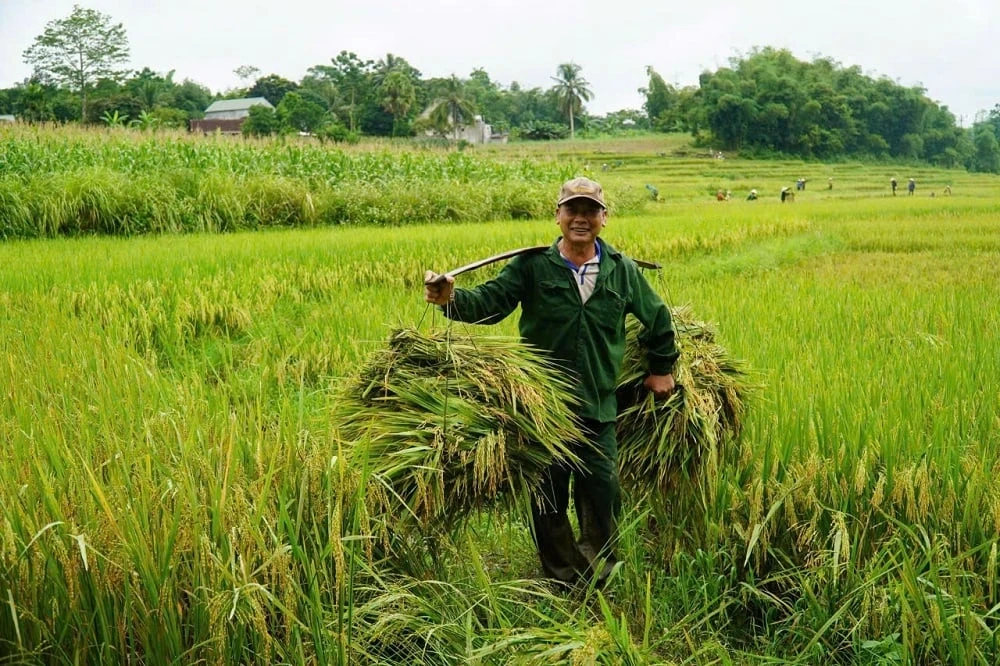 Nông nghiệp Thanh Hóa vượt sóng gió thiên tai, thích ứng linh hoạt