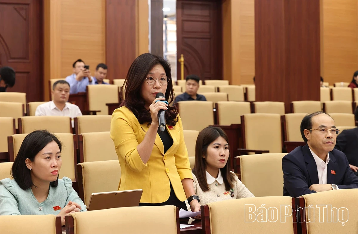 Các đại biểu thảo luận, chất vấn và trả lời chất vấn tại hội trường