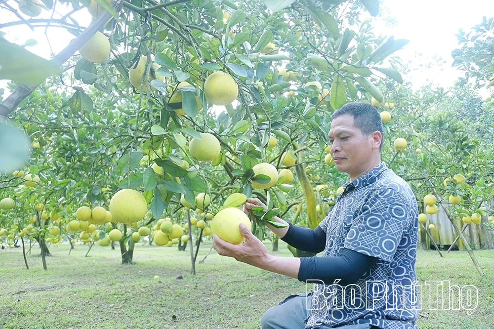 Truyền thông hiệu quả, giảm nghèo bền vững