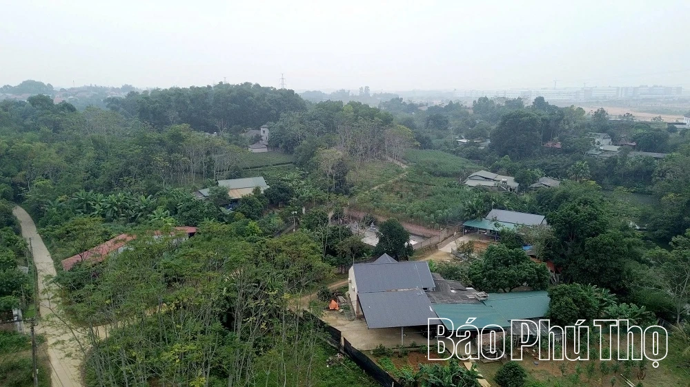 Sẵn sàng cho Lễ khởi công Dự án đường sắt Lào Cai - Hà Nội - Hải Phòng