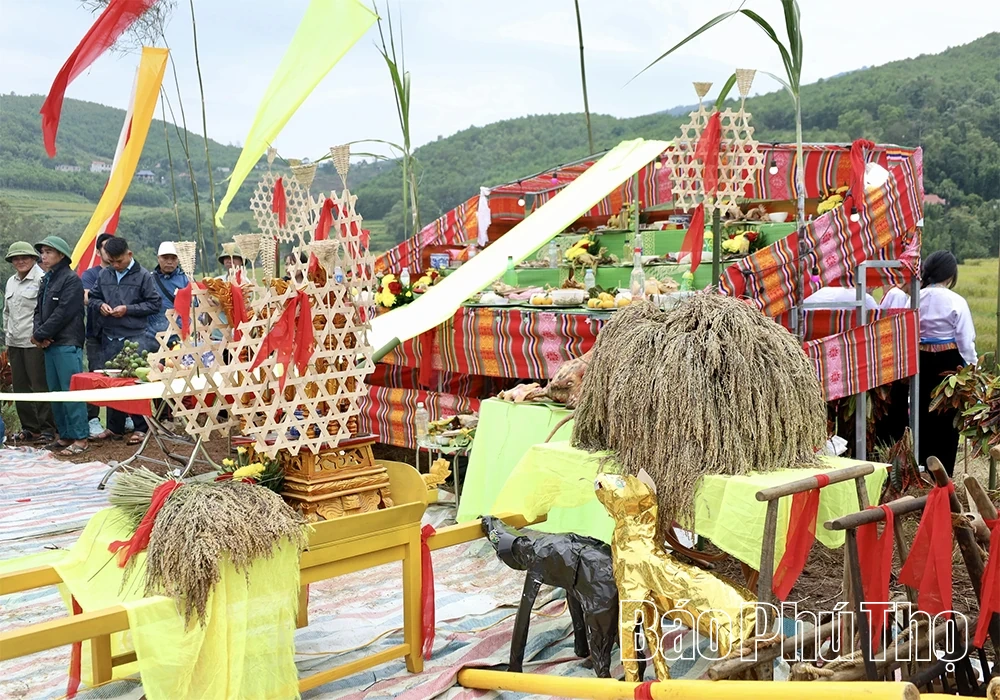 Bảo tồn và phát triển giống lúa nếp cổ “Trứng Khe” ở Thượng Cốc