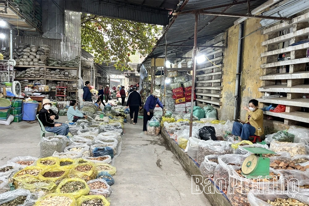 Trải nghiệm chợ thuốc Nam xứ Mường