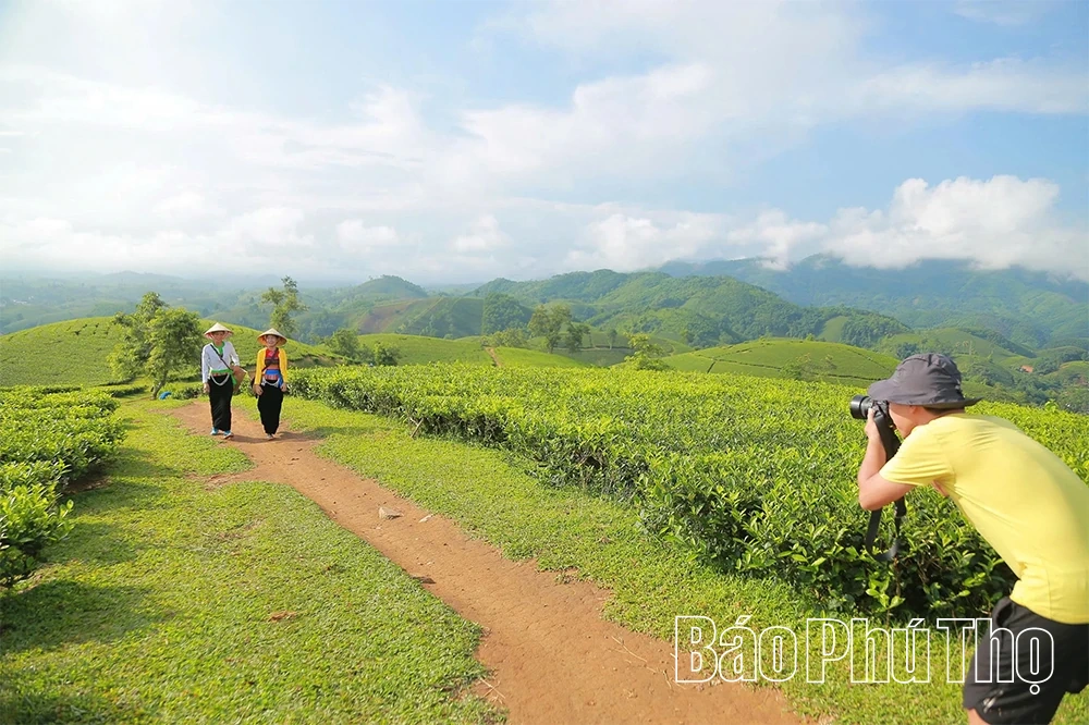 Long Cốc: Giấc mơ “hóa rồng”