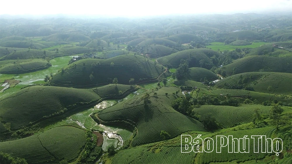 Long Cốc: Giấc mơ “hóa rồng”