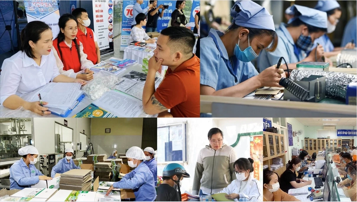 Bức tranh toàn cảnh thị trường việc làm quý IV/2025