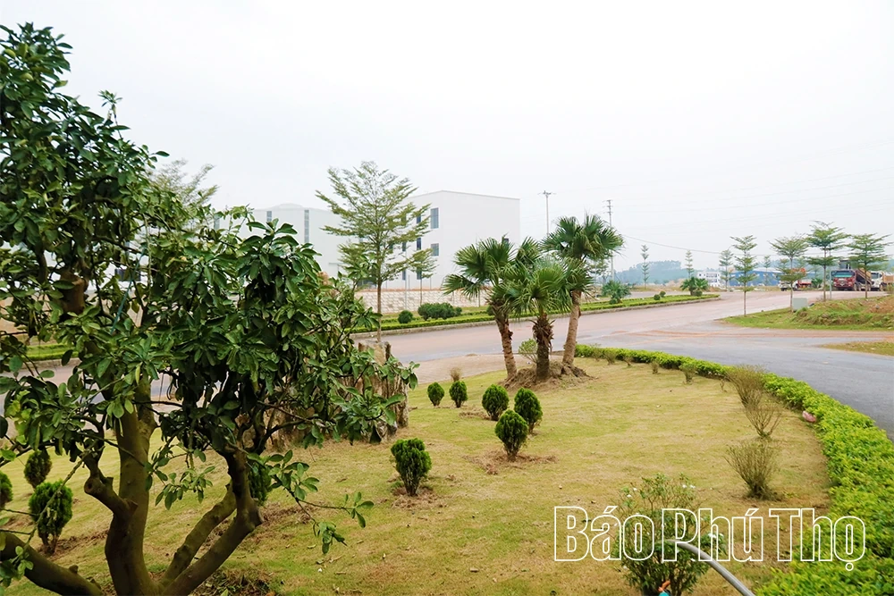 Bứt phá từ không gian liên kết và tư duy công nghiệp xanh, hiện đại