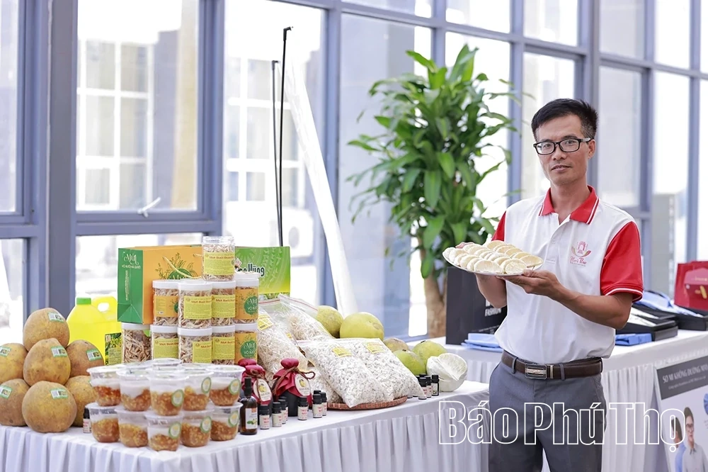 “Dẫn nhịp” để nông sản vươn ra “biển lớn”