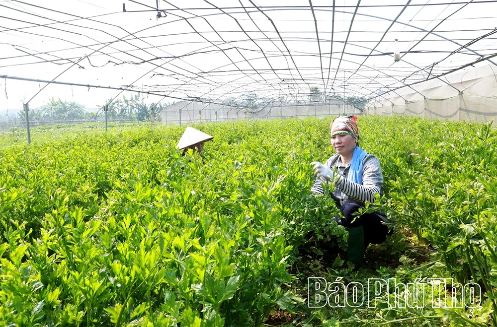 Xã Vĩnh Thành vượt khó vươn lên sau sáp nhập