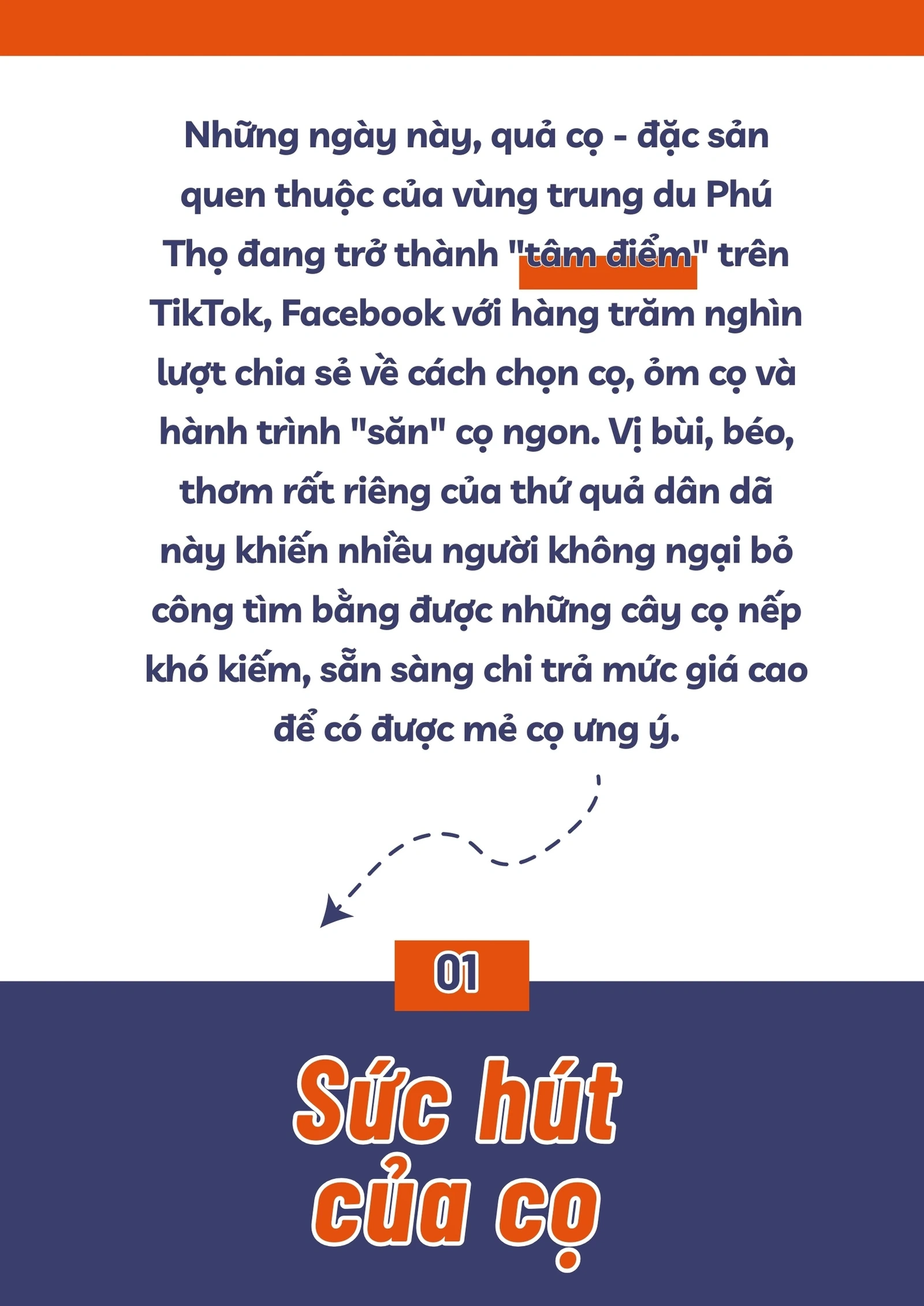 Bắt “trend” mùa cọ