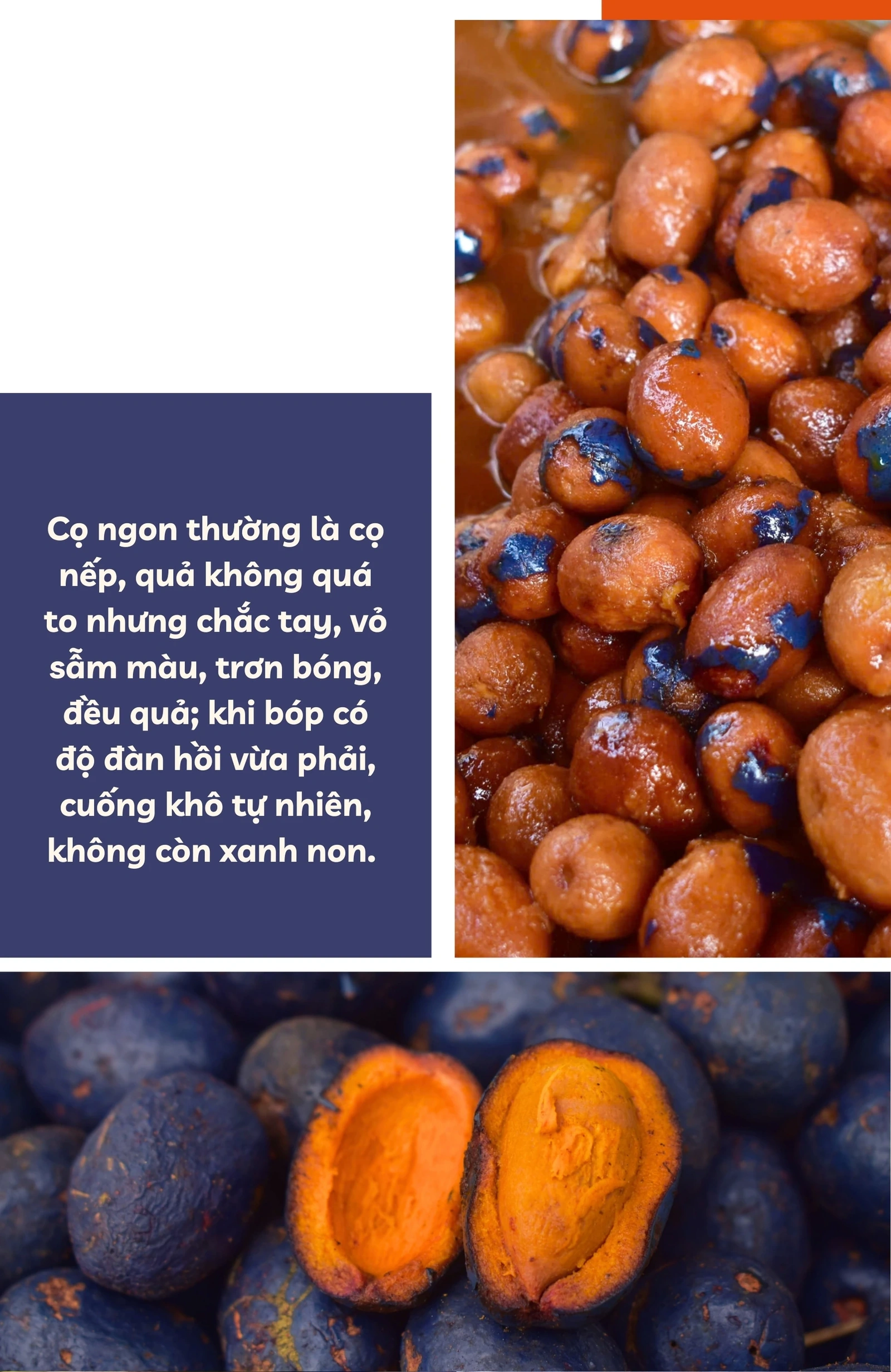 Bắt “trend” mùa cọ