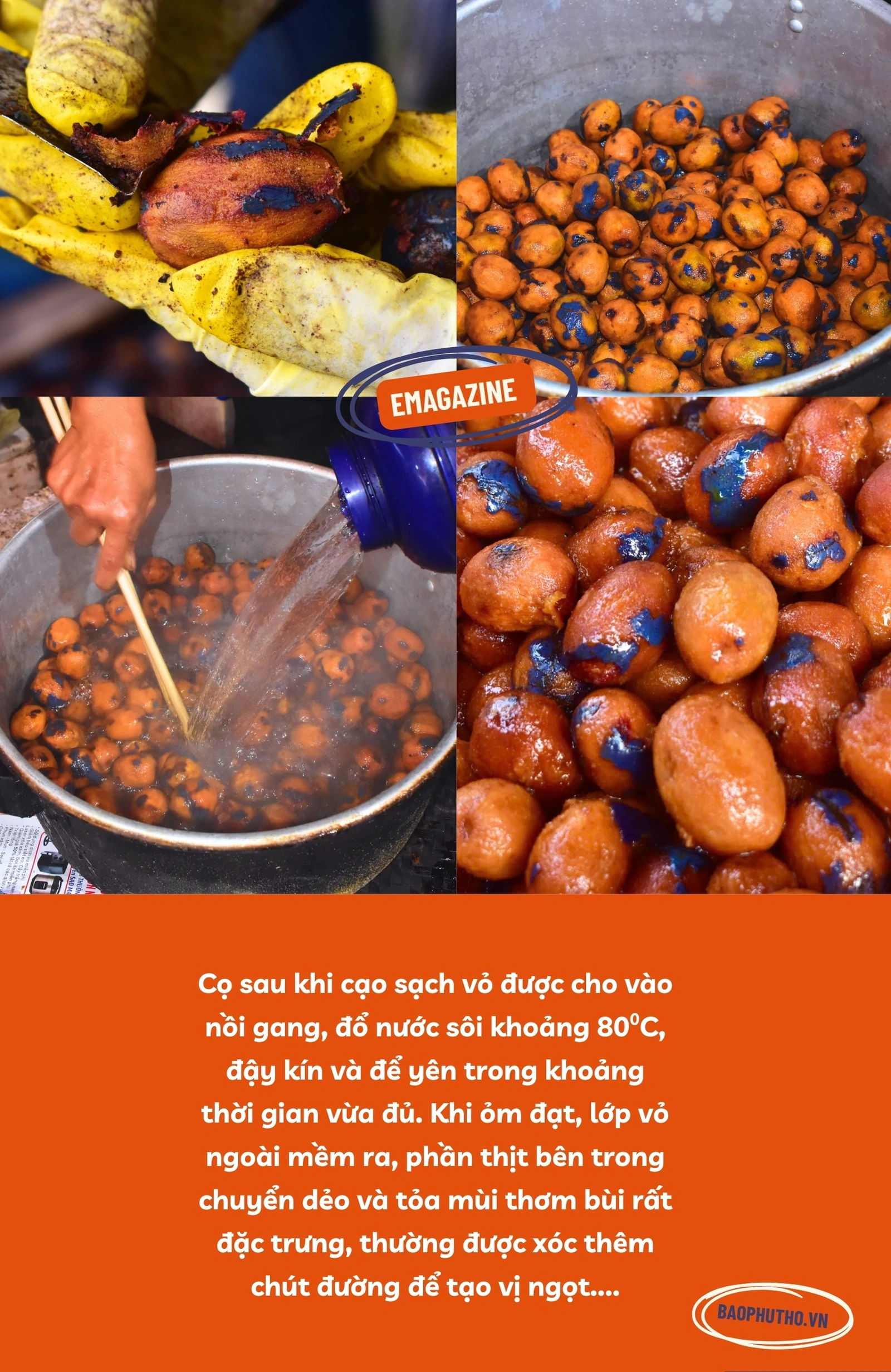 Bắt “trend” mùa cọ