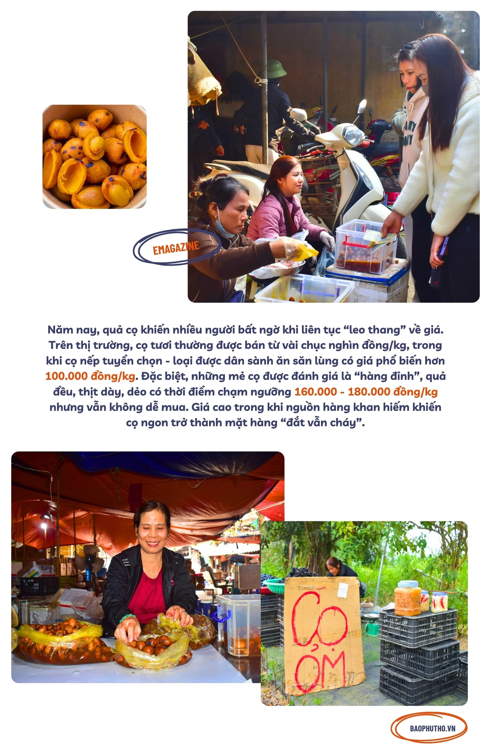 Bắt “trend” mùa cọ