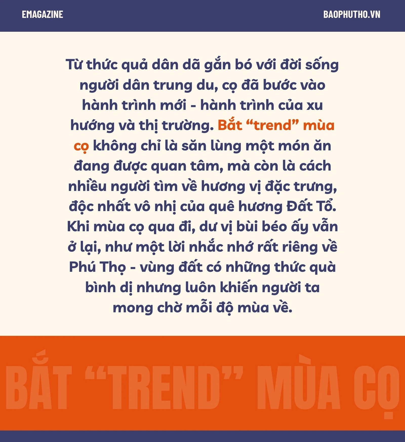 Bắt “trend” mùa cọ