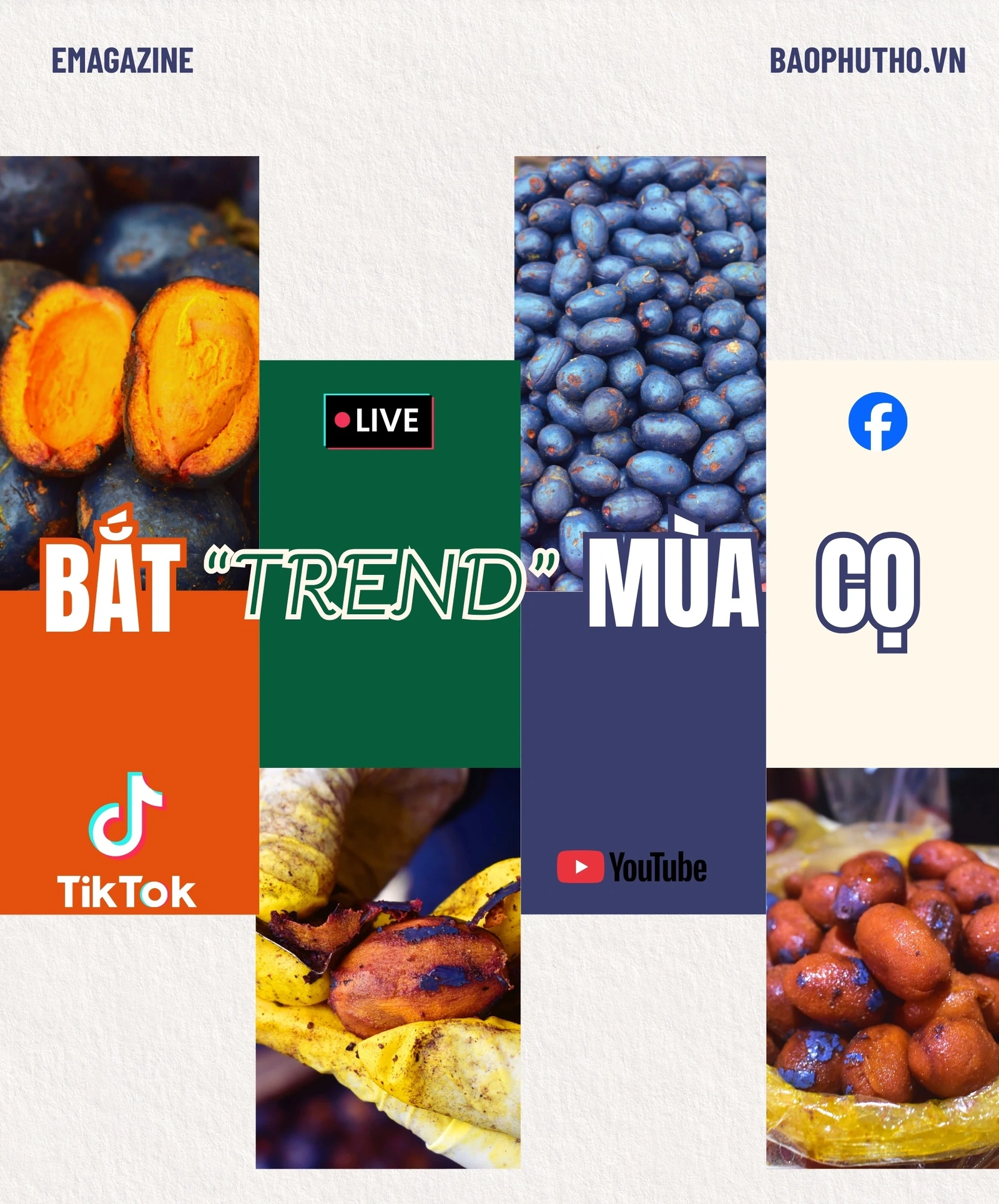 Bắt “trend” mùa cọ