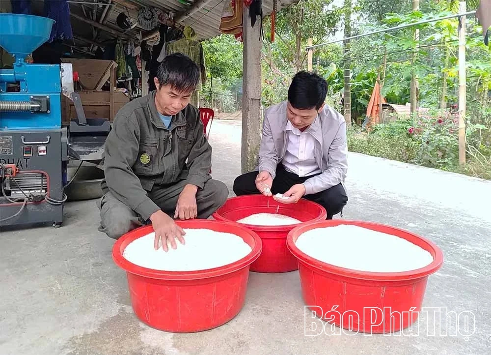 Din Van Sticky Rice: Preserving the Land’s Soul, Nurturing Livelihoods