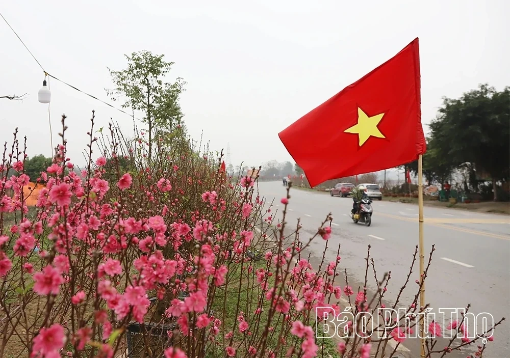 Flower Villages Entering the Tet Season